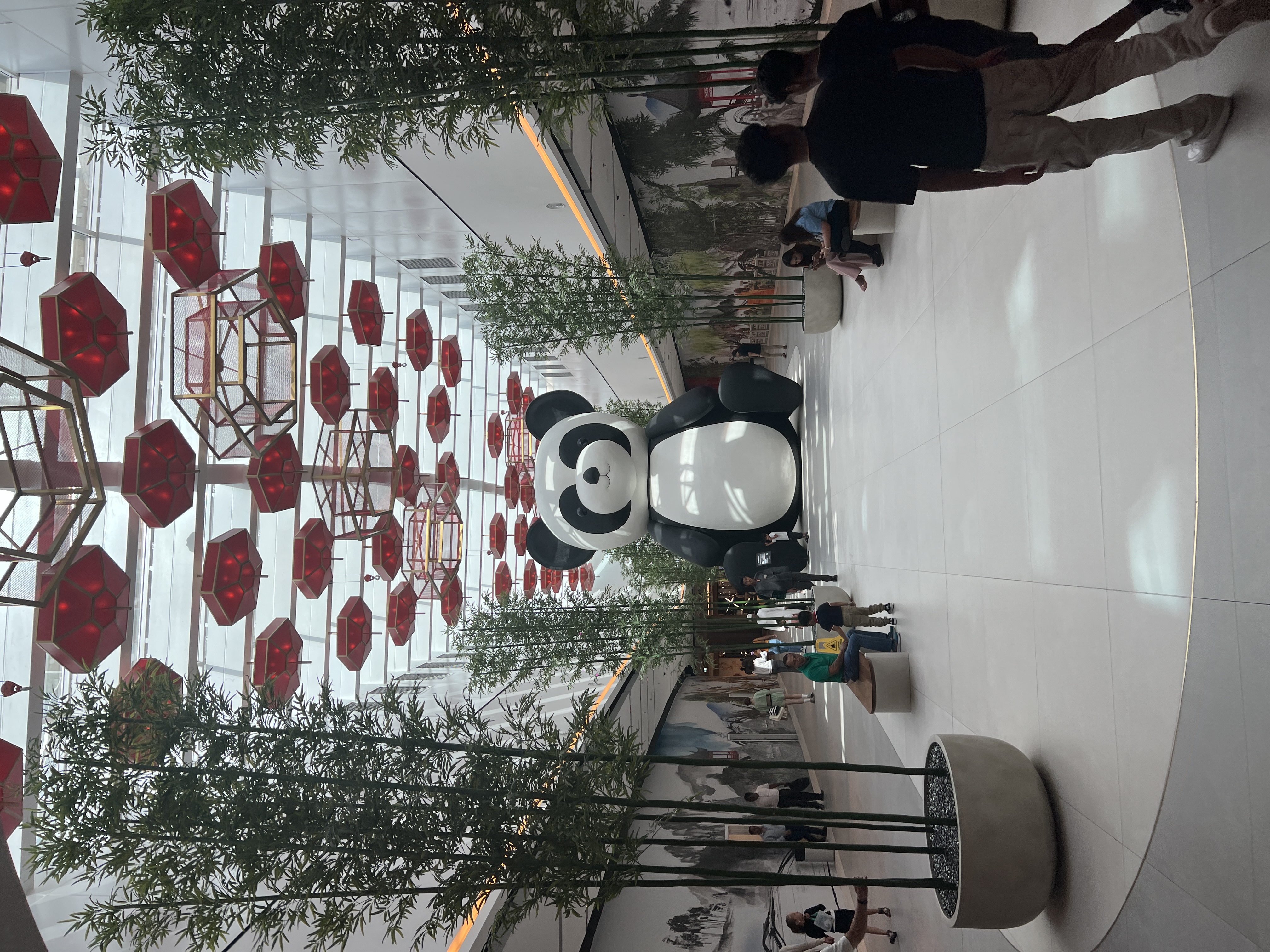 Dubai Picture