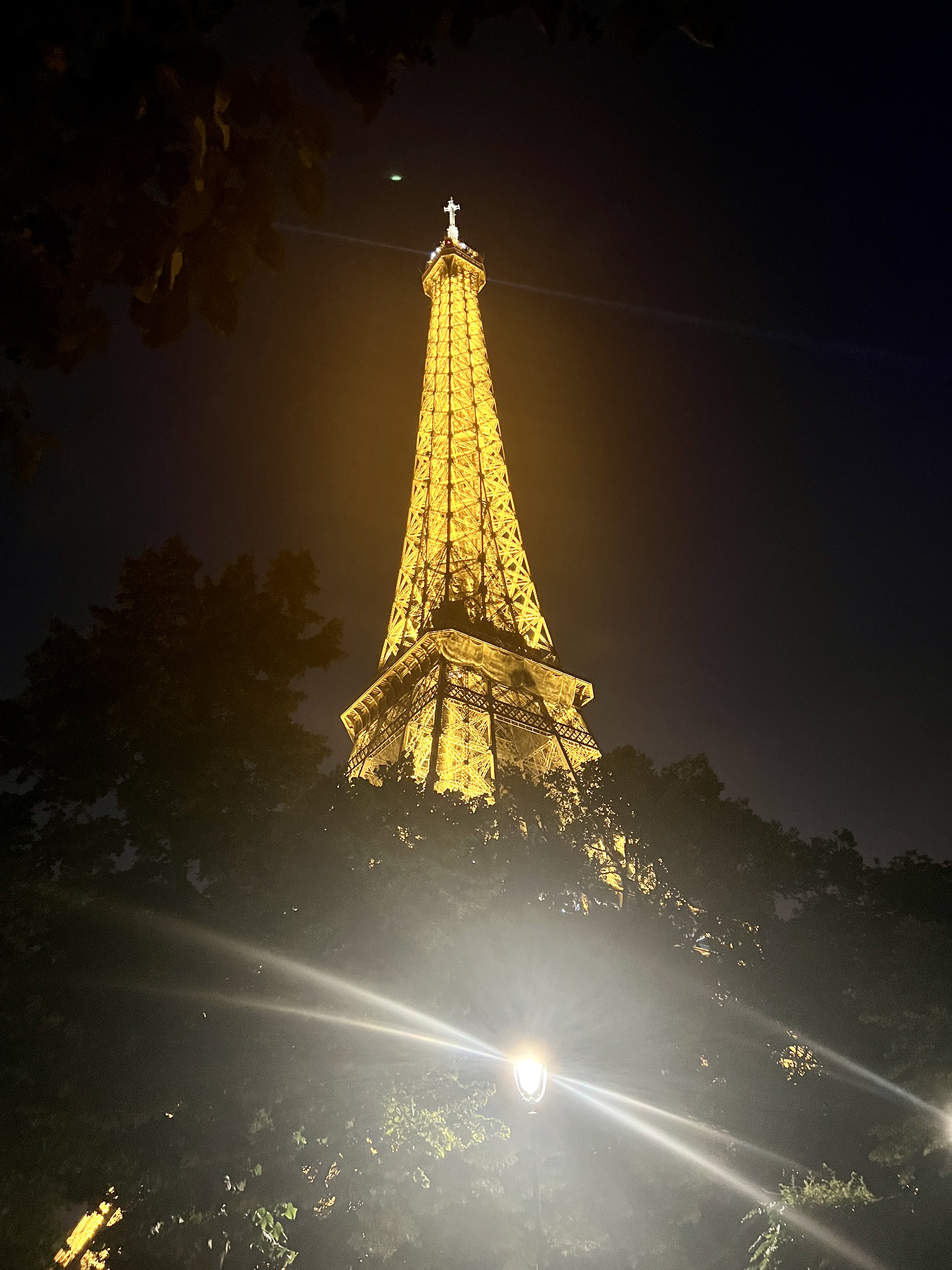 Paris Picture